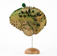 The Alpage and Other Celestial Bodies